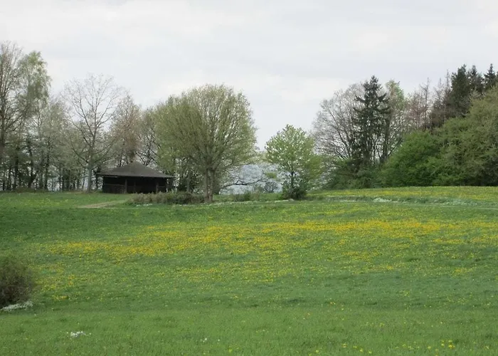 In Seelze With Swimming Pool * Seelze